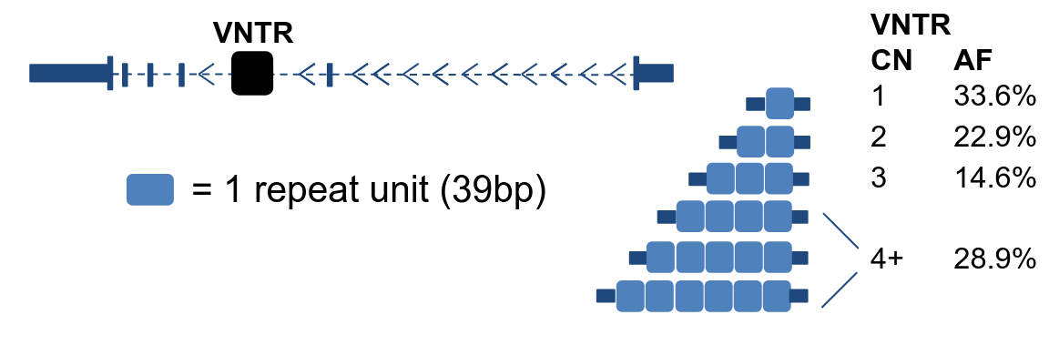 Structural variation research